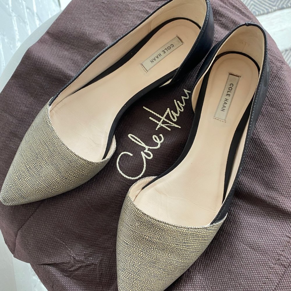 Cole Haan Amalia two-tone skimmer flats